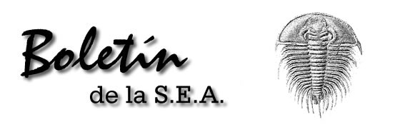 Boletín 14