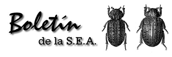 Boletín 17