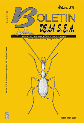 Boletín 38