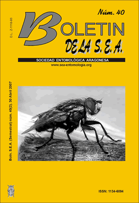 Boletín 40