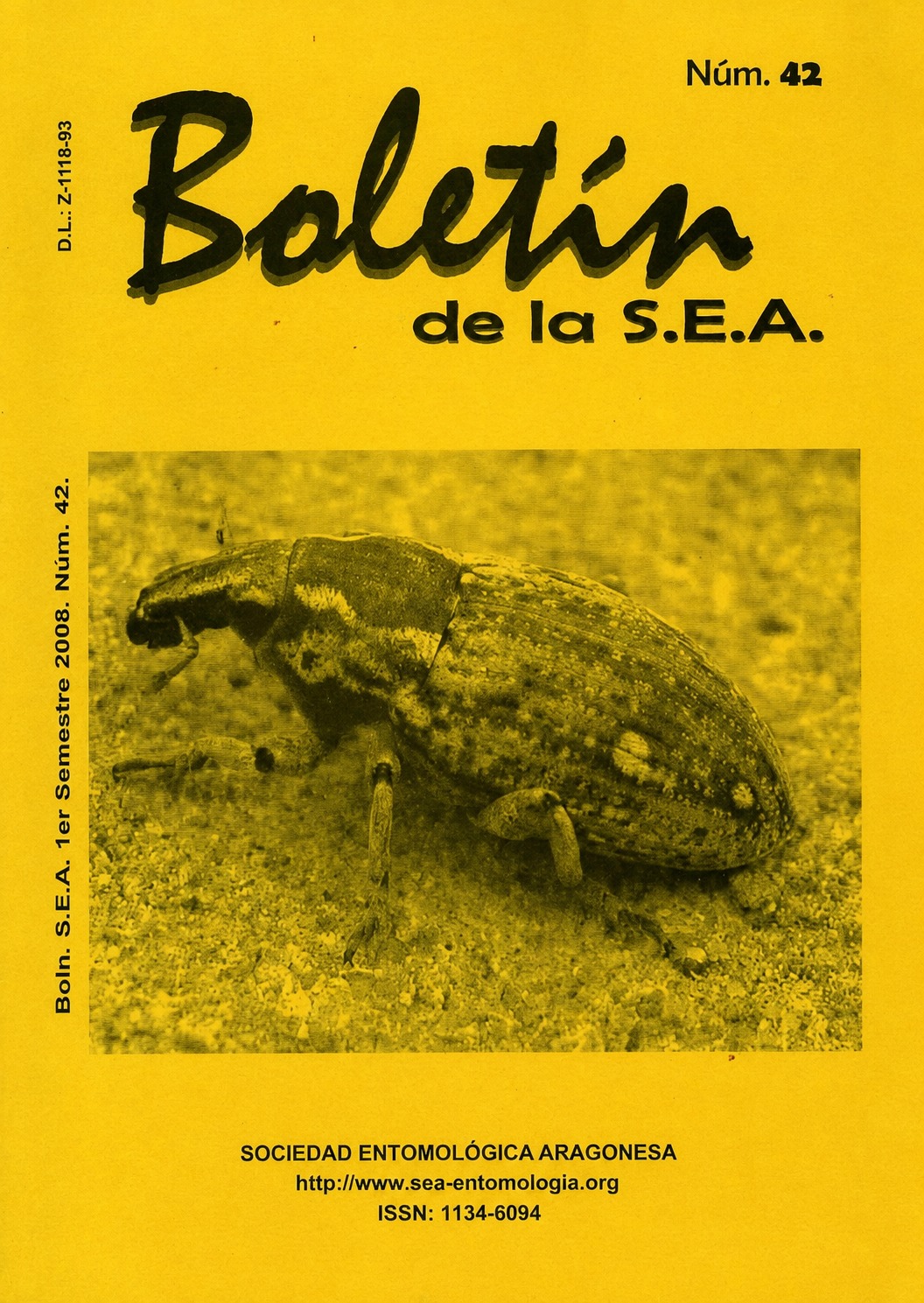Boletín 42