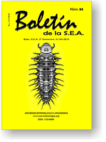 Boletín 53