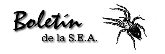Boletín 7