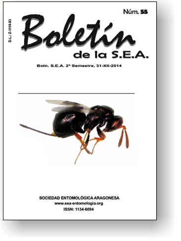 Boletín 55