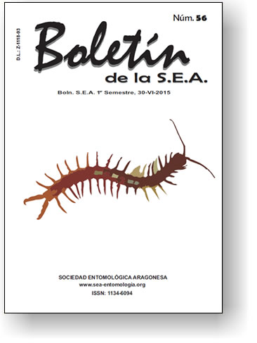 Boletín 56