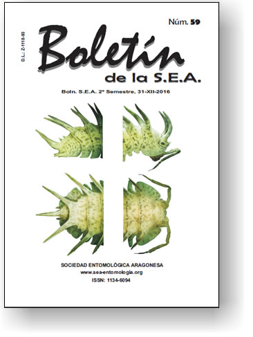 Boletín 59