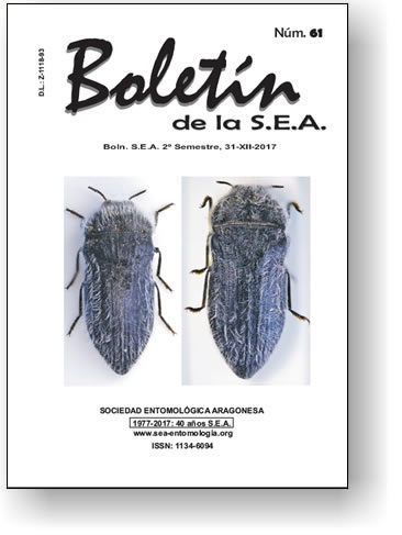 Boletín 61
