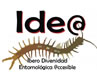 Revista IDE@ nº 1