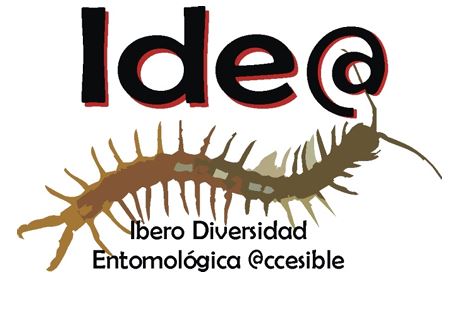 Noticia 3